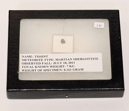 Tissent Martian Meteorite