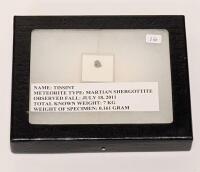 Tissent Martian Meteorite