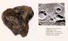 Esthetic 600 GramCampo Del Cielo Iron-Nickel Meteorite