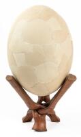 Aepyornis Maximus: Extinct Elephant Bird of Madagascar Egg, Originated during the Pleistocene