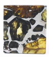 Meteorite Esquel The Most Beautiful Pallasite