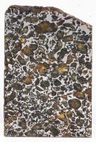 Excellent Sample Slice from a Seymchan Pallasite from the Magden District in Russia