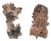 Native Silver from the Batopias Mine in Chihuahua, Mexico. Two Specimens