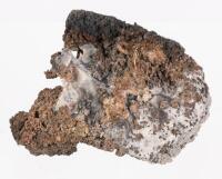 Native Silver from the Uchucchacua Mine, Lima Department, Peru