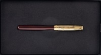 Parker Sonnet Special Edition Terra Cotta and Gold Fountain Pen Fine Nib