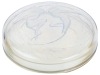 Rene Lalique Deux Sirenes Box with Exceptional Opalescent Figures, an Art Deco Triumph from 1921