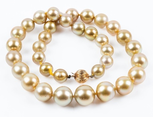 South Sea Cultured Pearl Necklace in Stunning Gold Tones with 14K Yellow Gold Ball Clasp. 35 Naturally Gold Pearls