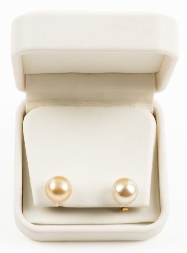 Ladies South Sea Stud Earrings with 14K Yellow Gold Posts