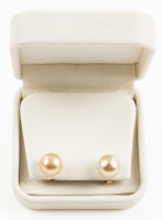 Ladies South Sea Stud Earrings with 14K Yellow Gold Posts