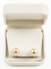 Ladies South Sea Stud Earrings with 14K Yellow Gold Posts