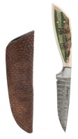 Beauchamp Fixed Knife with Damascus Steel Blade with Mammoths and a Mastadon Feeding on Grass
