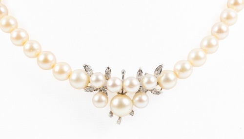 Lovely Necklace of Graduated, Lustrous White Pearls with a 7 Pearl Array in the Centerpiece with a Bright Polish Finish