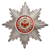 Breast Star. Civil Division.