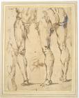 Bandinelli, Baccio. Untitled Studies of A Nude Male Torso