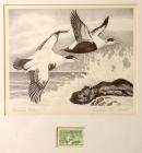 1957, $2, Federal Duck Stamp Print, "American Eiders" by Jackson Miles Abbott