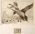 1962, $3, Federal Duck Stamp Print, "Pintails" by Edward A. Morris