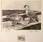 1964, $3, Federal Duck Stamp Print, "Nene High Among the Lava Flows" by Stanley Stearns