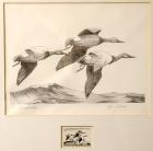 1965, $3, Federal Duck Stamp Print, "Canvasbacks" by Ron Jenkins