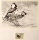 1968, $3, Federal Duck Stamp Print, "Poised" by Claremont ale Pritchard