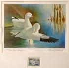 1970, $3, Federal Duck Stamp Print by "Ross's Geese" Edward Bierly