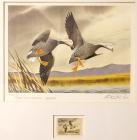 1972, $5, Federal Duck Stamp Print, "Emperor Geese" by Arthur M. Cook