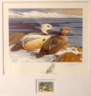 1973, $5, Federal Duck Stamp Print, "Steller's Eiders" by Lee LeBlanc