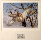 1974, $5, Federal Duck Stamp Print "Wood Ducks" by David A. Maas