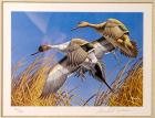 1979, State ( & Other) Duck Stamp Prints
