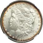 1893-O Morgan Dollar. NGC MS63