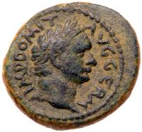 Judaea Capta. Domitian, AD 81-96. AE 19 minted at Caesarea