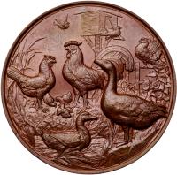 Germany. Bronze Medal, 1887