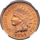 1891 Indian Head Cent