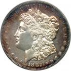 1882 Morgan Dollar. PCGS PF62