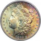 1882-S Morgan Dollar. NGC MS65