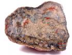 Colorful Dinosaur Coprolite