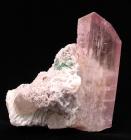 Exceptional Spodumene, var. Kunzite with Tourmaline