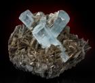 Gemmy Blue Crystals of Aquamarine on Original Muscovite