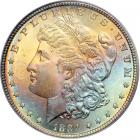 1884 Morgan Dollar. PCGS MS66