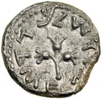 The Jewish War, 66-70 CE. AR Half Shekel (6.50 g) dated year 1 (66-67 CE). EF - 2