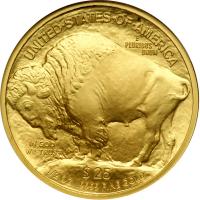 2009-W $25 Buffalo Gold, &frac12; ozt. Early Release. NGC MS69 - 2