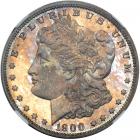 1900 Morgan Dollar. NGC PF65