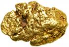 CALIFORNIA Large Placer Gold Nugget 1.6 ozt. (49.8 gr)