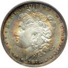 1878 Morgan Dollar. 7 tail feathers, reverse of 1878. NGC MS64