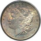 1881-S Morgan Dollar. PCGS MS64