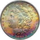1883-O Morgan Dollar. PCGS MS65