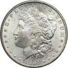 1884-CC Morgan Dollar. ICG MS65