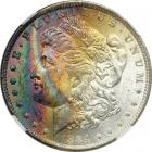 1884-O Morgan Dollar. NGC MS62