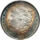 1884-O Morgan Dollar. NGC MS61