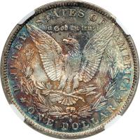 1884-O Morgan Dollar. NGC MS64 - 2