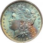 1885-O Morgan Dollar. NGC MS64